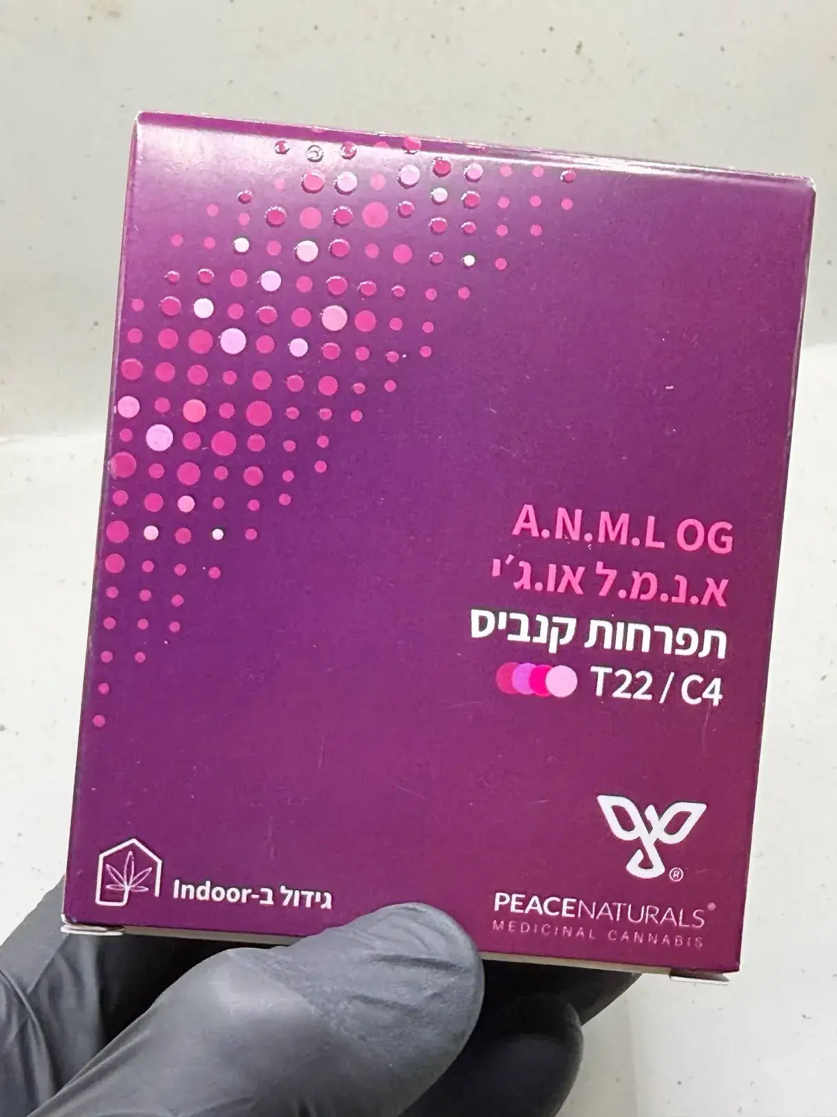 medical-photo-6-1773686657214.webp